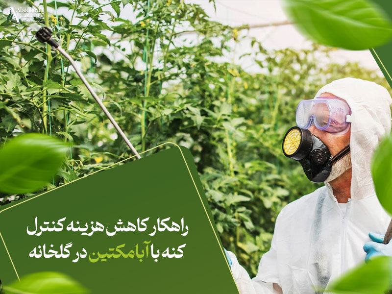 راهکار کاهش هزینه کنترل کنه با ابامکتین در گلخانه