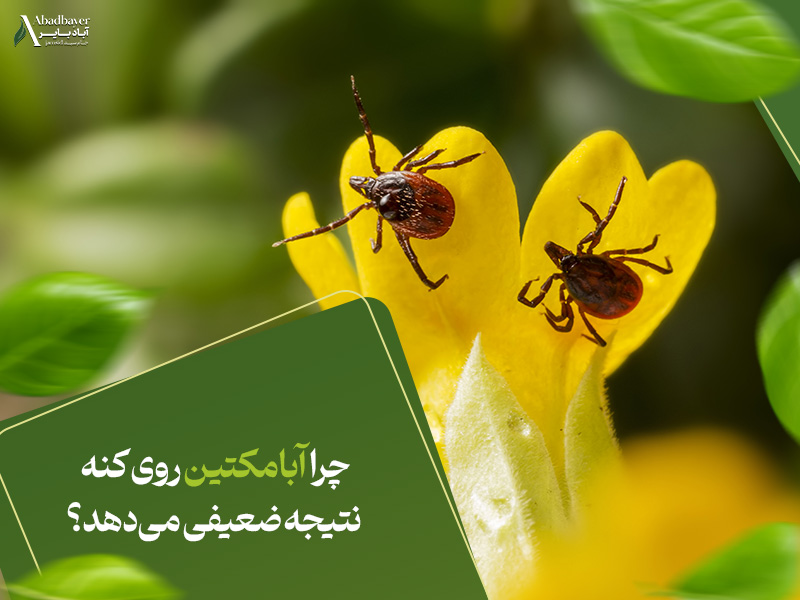 چرا ابامکتین روی کنه نتیجه ضعیفی می‌دهد؟