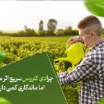 چرا دی کلروس سریع اثر می‌کند اما ماندگاری کمی دارد؟
