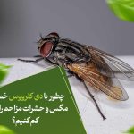 چطور با دی کلرووس خسارت مگس و حشرات مزاحم را سریع کم کنیم؟