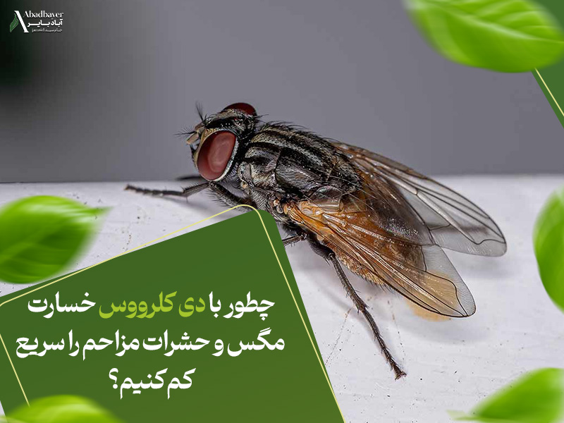 چطور با دی کلرووس خسارت مگس و حشرات مزاحم را سریع کم کنیم؟