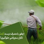 چطور با مصرف درست ابامکتین از تکرار سم‌پاشی جلوگیری کنیم؟