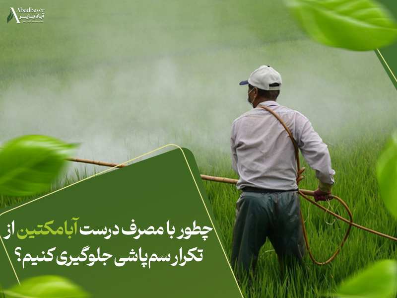 چطور با مصرف درست ابامکتین از تکرار سم‌پاشی جلوگیری کنیم؟