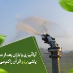 آیا آبیاری یا باران بعد از محلول‌پاشی بردو اثر آن را کم می‌کند؟
