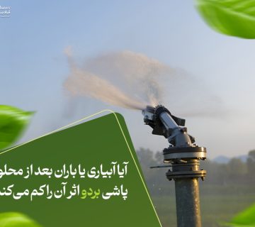 آیا آبیاری یا باران بعد از محلول‌پاشی بردو اثر آن را کم می‌کند؟