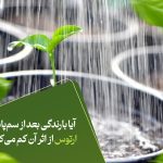 آیا بارندگی بعد از سم‌پاشی ارتوس از اثر آن کم می‌کند؟