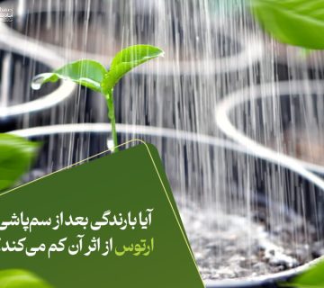آیا بارندگی بعد از سم‌پاشی ارتوس از اثر آن کم می‌کند؟