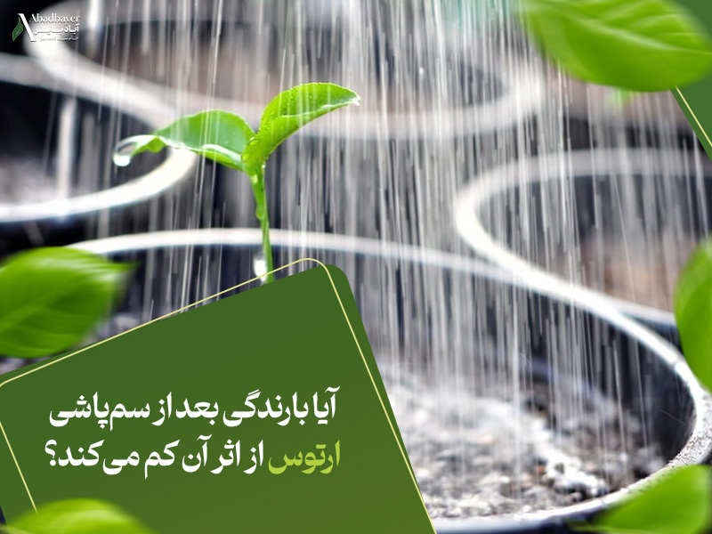 آیا بارندگی بعد از سم‌پاشی ارتوس از اثر آن کم می‌کند؟